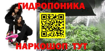 скорость Будённовск