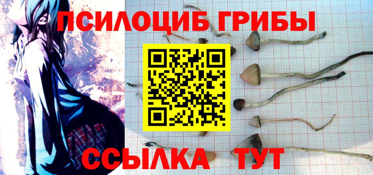 Галлюциногенные грибы мухоморы Черкесск