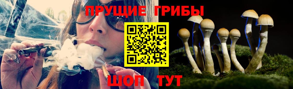 Галлюциногенные грибы Psilocybe  Псилоцибиновые грибы мицелий  Вход с VPN  купить  сайты  Черкесск 